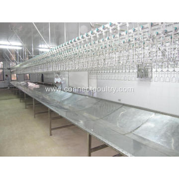 Poultry processing equipment bleeding trough